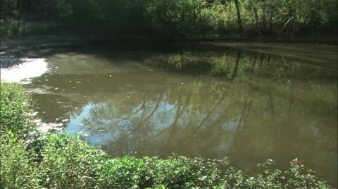 Pond pan Stock Footage 11078883