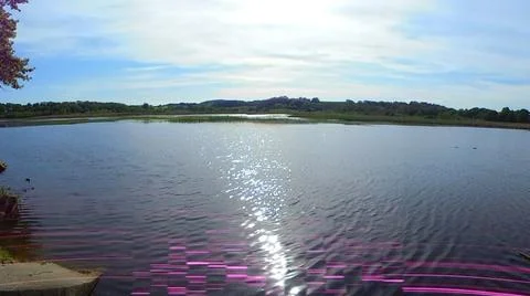 Pond panorama in spring sunlight with reed beds and light leak artifacts Stock Photos
