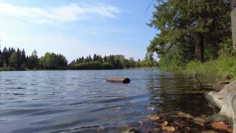 Pond in the park 2 動画素材 159726152