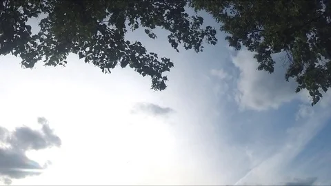 Pond In Park and clouds On Summer Day Timelapse 動画素材 77285393