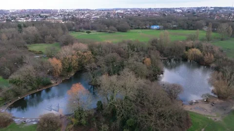 Pond in a park in the city Video stock 264342990