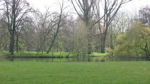 Pond in a park Stock Footage 123428