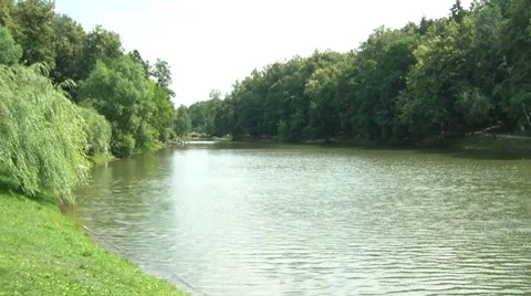 Pond In The Park Vídeos de archivo 7764059