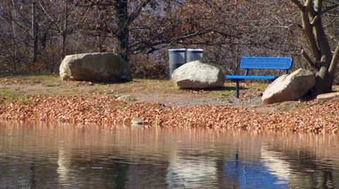 Pond in the Park Stock Footage 32701634
