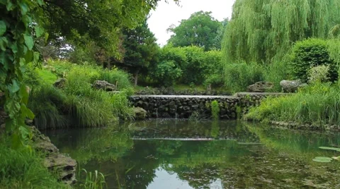 Pond in the park 스톡 동영상 53197347