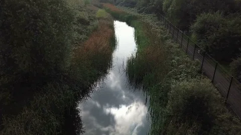 A pond in a park Stockbeeldmateriaal 80436652