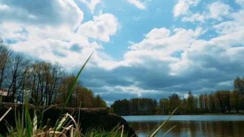 Pond in the Park Video stock 89504346