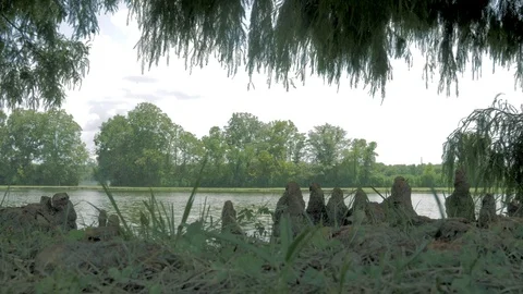 Pond At Park Stock Footage 93713250