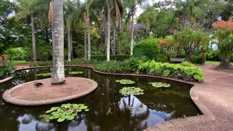 Pond in the Park Video stock 143646199