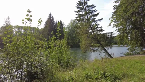 Pond in the park 動画素材 159726177