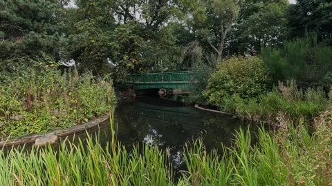 Pond in the PARK Stock Footage 284469060
