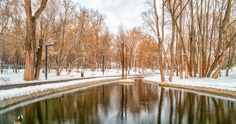 Pond in the park in hypelapse Stock Footage 122023185