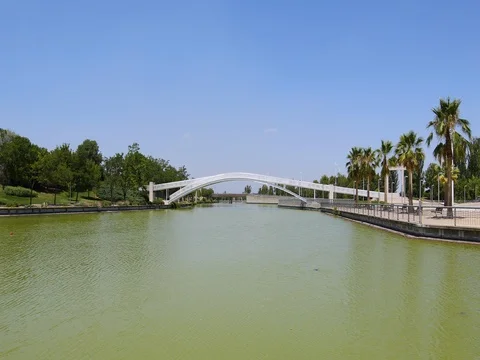 Pond in park of Madrid Stock Footage 78012144