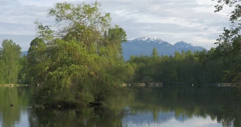 Pond in the park, mountains at the background. Stock-Footage 101815174