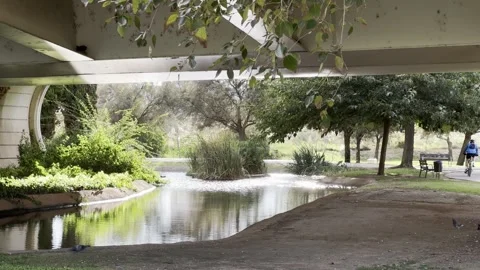 Pond in park of Museum of Sciences in Valencia, Spain Stock Footage 255288532