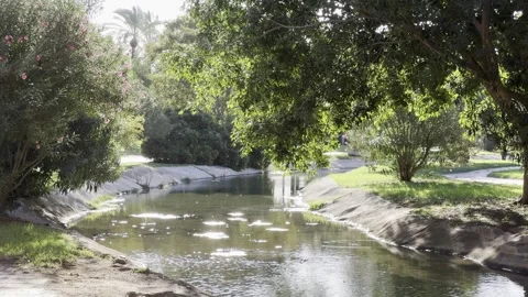 Pond in park of Museum of Sciences in Valencia, Spain Stock Footage 255289120