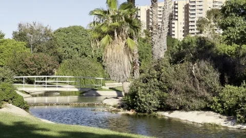 Pond in park of Museum of Sciences in Valencia, Spain Stock Footage 255289144