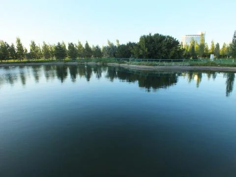 A pond in the park Stock Photos
