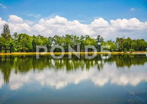Pond in park Stock Photos
