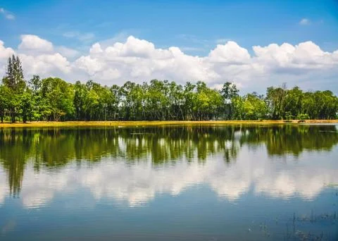 Pond in park Stock Photos