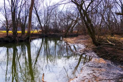 Pond In A Park Stock Photos