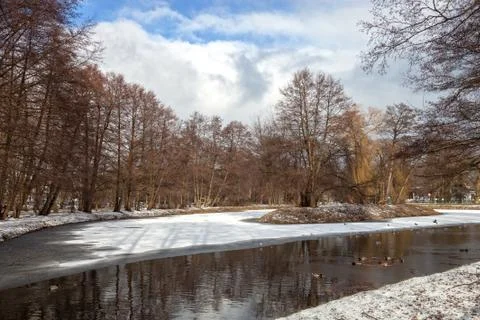 Pond in the park Stock Photos