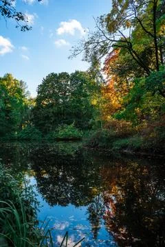 Pond in the park. Stock Photos
