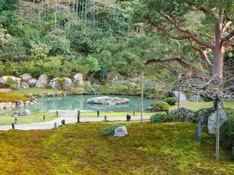 A pond in a park Fotos de archivo
