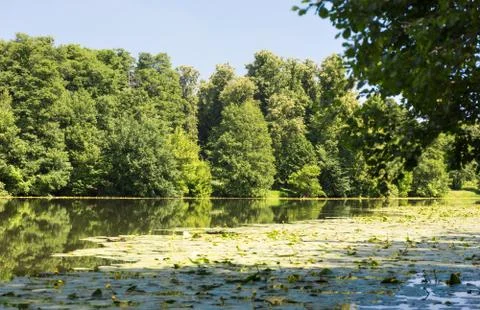 Pond in the park Stock Photos