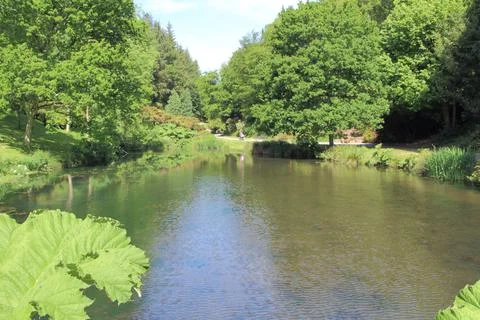 Pond in a park Stock Photos
