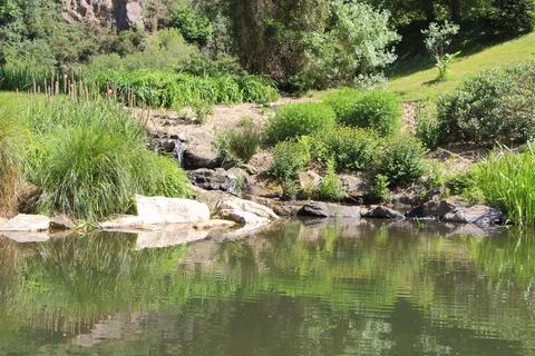 Pond in a park Stock Photos