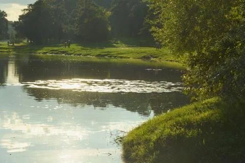The pond in the park at sunset Stock Photos