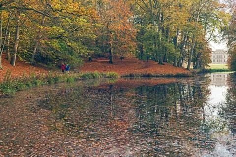 Pond in park surrounded by autumn trees. Elswout estate. The Netherlands. Stock Photos