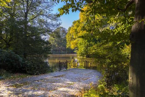 A pond in a park surrounded by trees. 스톡 사진