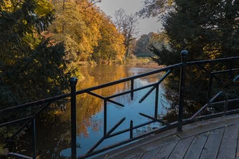 A pond in a park surrounded by trees. Foto stock