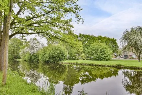 A pond in a park with a tree and grass Stock Photos