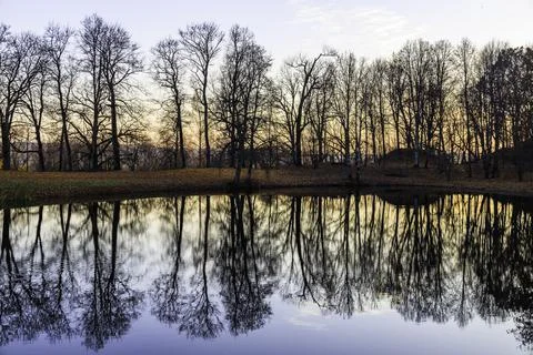 Pond in the park with trees reflection from a beautiful sunset Stock Photos
