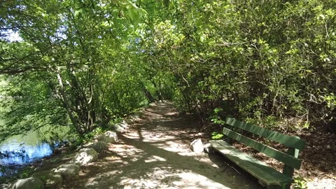 POND PATH Stock Footage 195666179