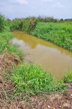 Pond Stock Photos
