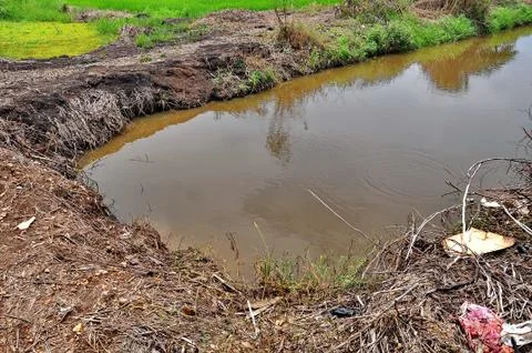 Pond Stock Photos