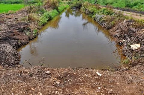 Pond Stock Photos