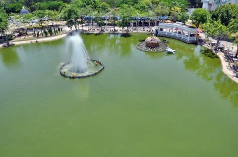 Pond Stock Photos