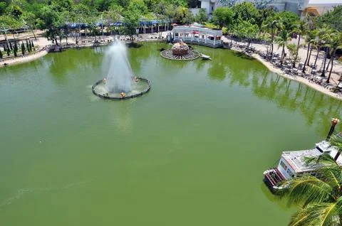 Pond Stock Photos
