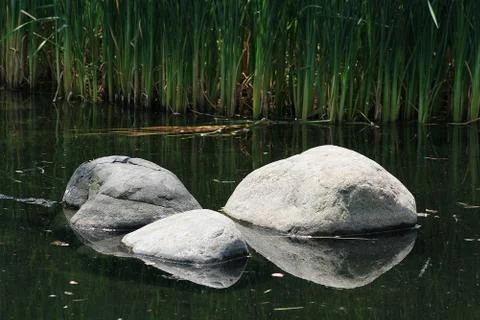 Pond Stock Photos