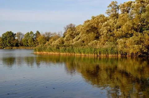 Pond Stock Photos