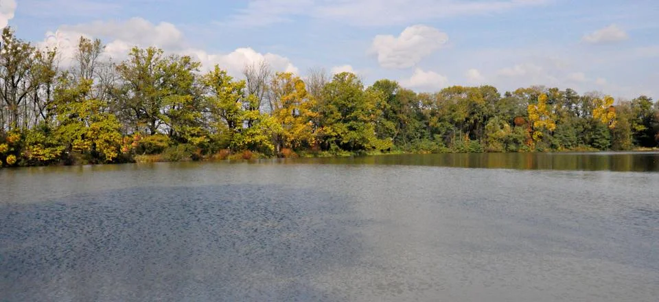 Pond Foto stock