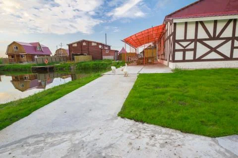 At the pond 스톡 사진