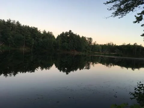 The Pond Stock Photos
