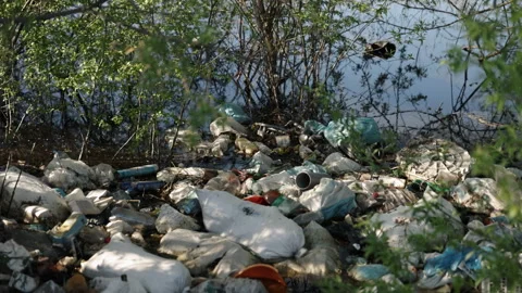 Pond pollution, Terrestrial ecosystems, Pollution solutions Stock Footage 290142622