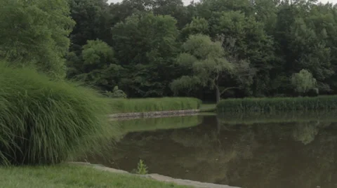 Pond in a public park Stock Footage 35720724